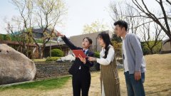 提拔了多元场景的办事